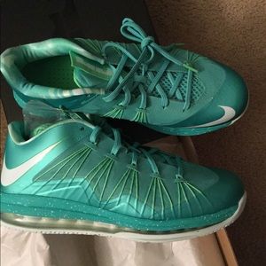 Nike Sneakers Lebron